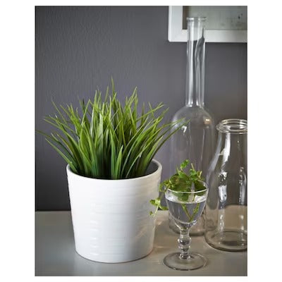 IKEA FEJKA Artificial potted plant, in/outdoor grass | IKEA Artificial plants & flowers | IKEA Plants & flowers | IKEA Decoration | Eachdaykart