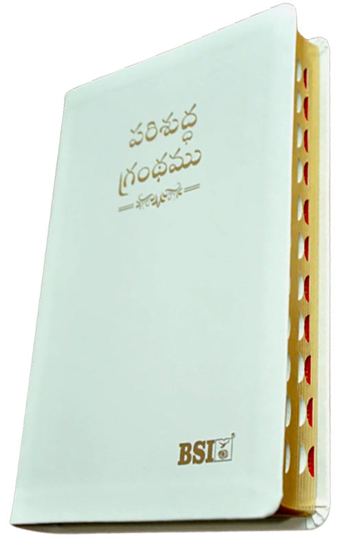 Telugu OV Gilt DY TI White PU Yaap  | Telugu Bibles | Bibles in Telugu