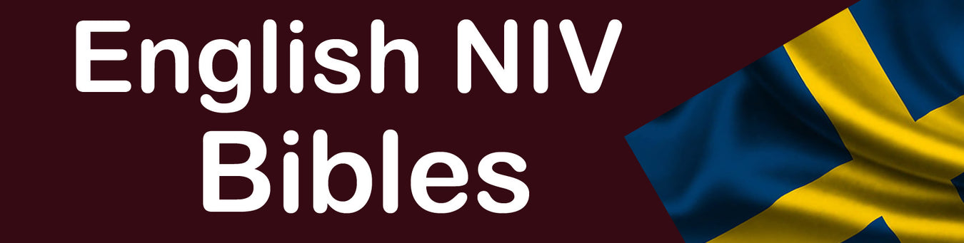 English NIV Bibles