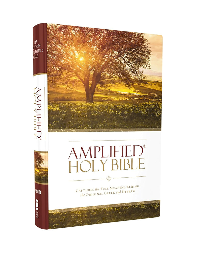 Amplified Holy Bible  by Zondervan