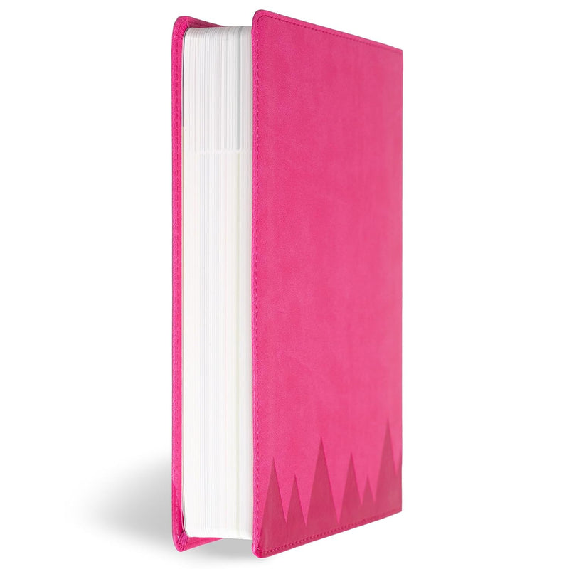 KJV Explorer Bible for Kids, Bubble Gum LeatherTouch by Holman Bible Publishers