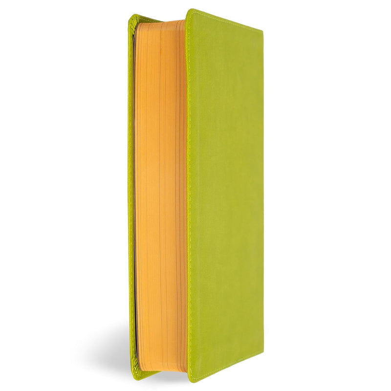 KJV-Kinderbibel, Green Leathertouch von Holman Bible Publishers