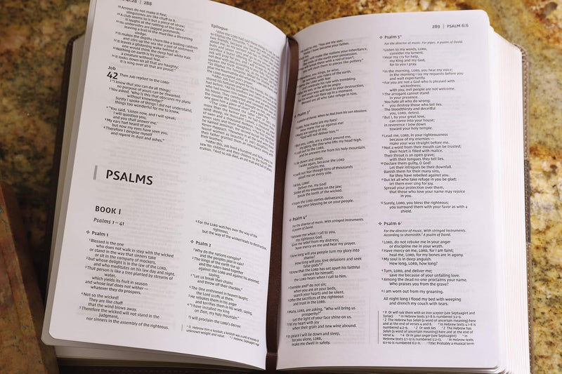 NIV Premium Gift Bible by Zondervan