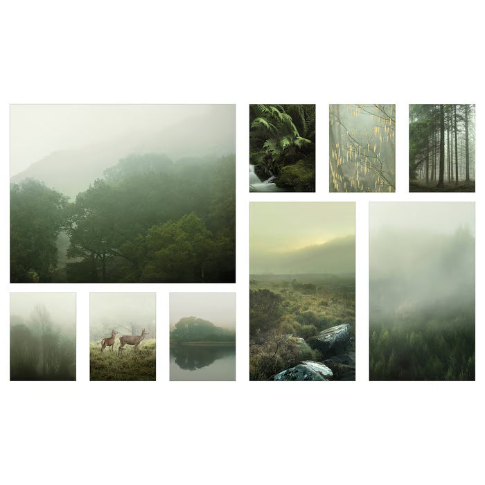 IKEA PJÄTTERYD Picture, set of 9, Mist in the forest, 179x112 cm (70 ½x44 ")