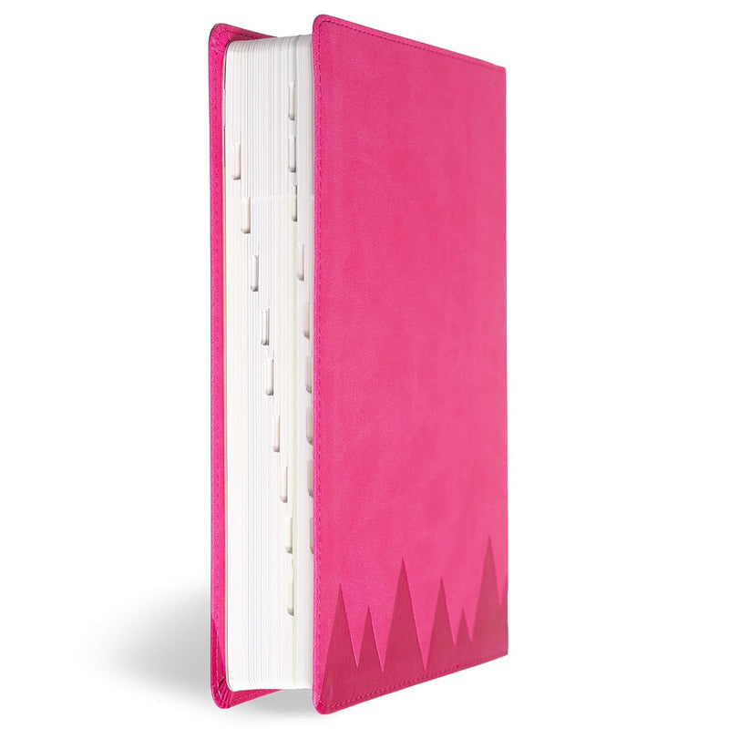 KJV Explorer Bible for Kids, Bubble Gum LeatherTouch, Indexed Placing God's Word in the Middle of God's World by Holman Bible Publishers