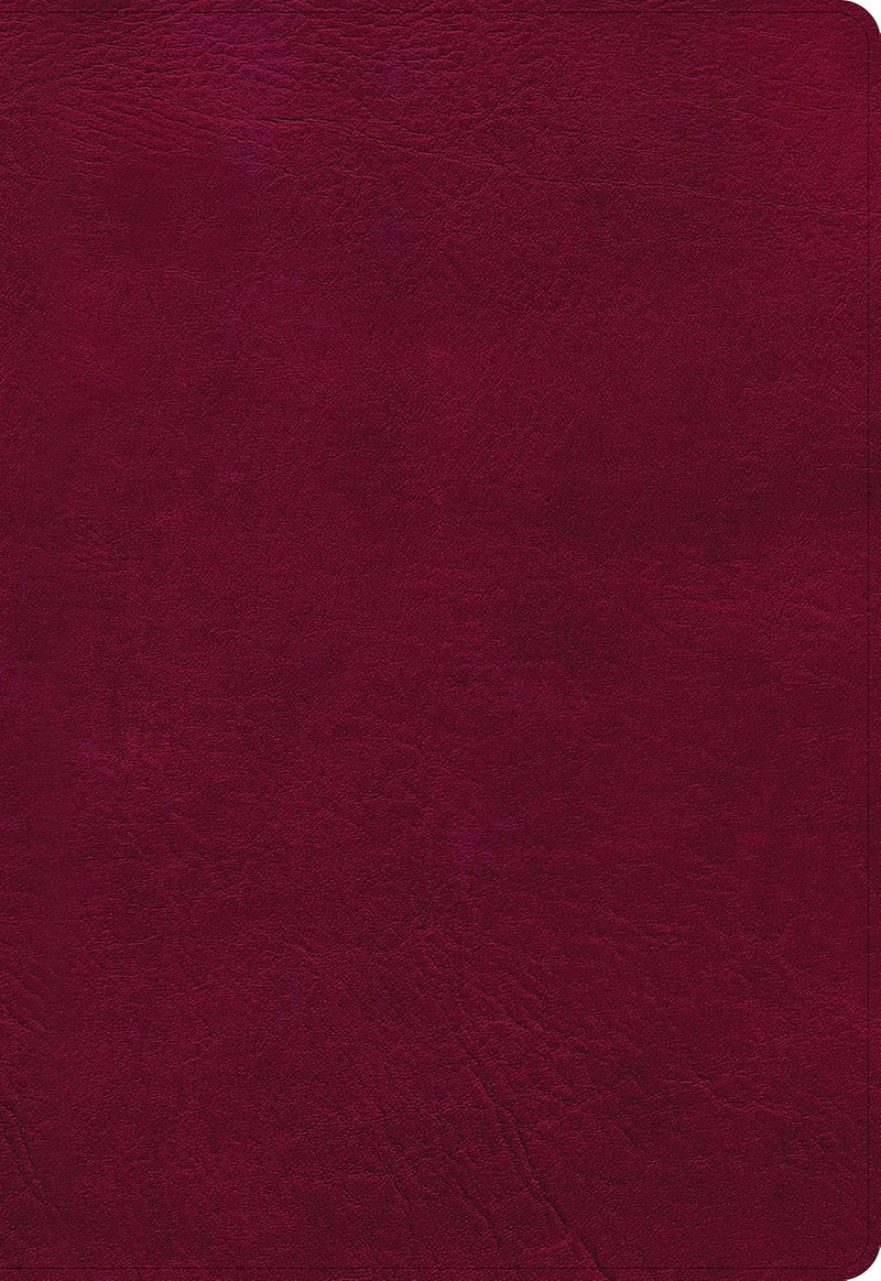 NASB Super Giant Print Reference Bible, Burgundy Leathertouch by Broadman & Holman Publishers