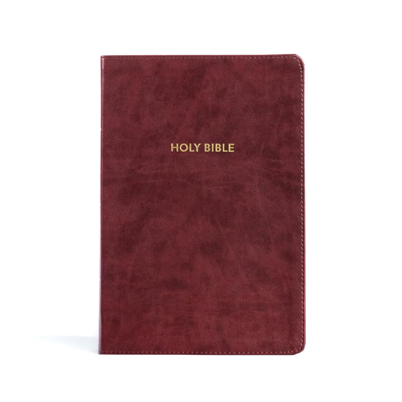 KJV Rainbow Study Bible – Burgundy Leather touch by Holman Bible Publishers