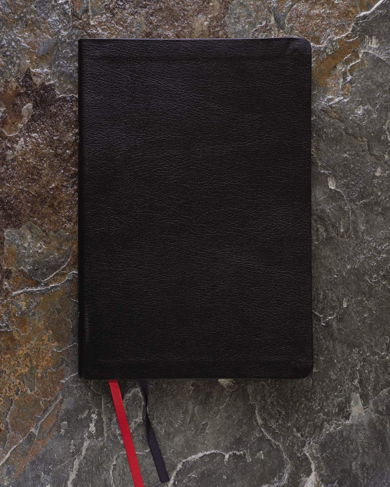 NIV, Thinline Bible, Large Print, Bonded Leather, Black, Indexed, Red Letter Edition by Zondervan