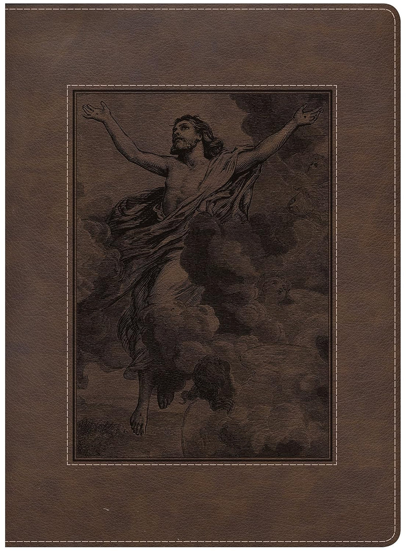 The Gospel Project Bible, Christ Ascending, Brown Leather Touch by Holman Bible Staff