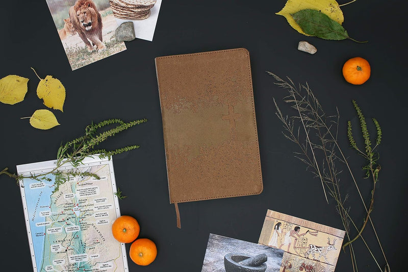 NIV Kids' Visual Study Bible by Zondervan