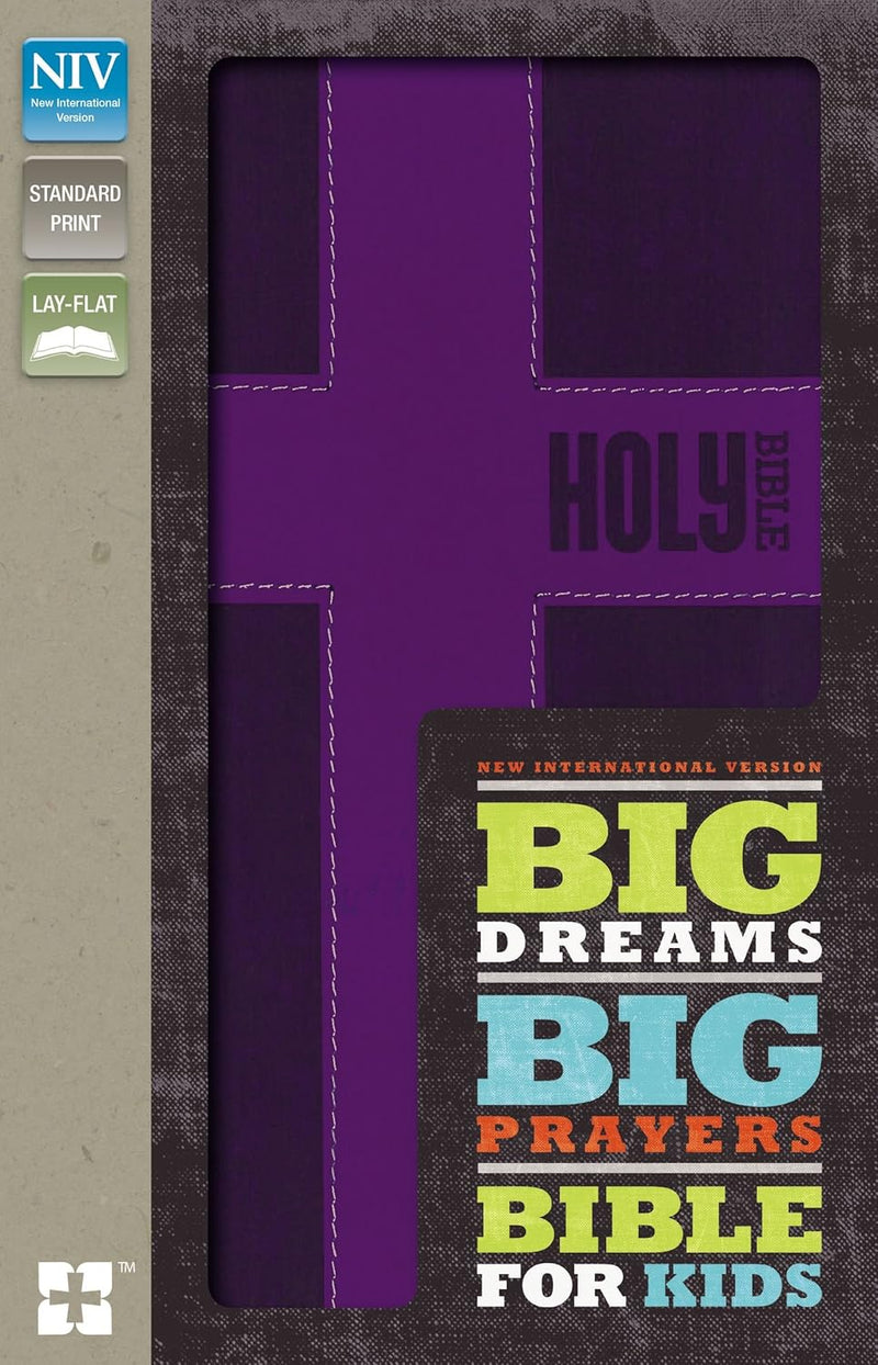 Big Dreams, Big Prayers Bible for Kids by Zondervan