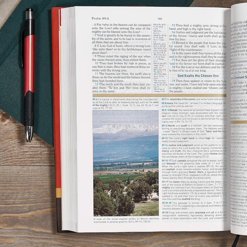 KJV Study Bible, Jacketed Hardcover  by Holman Bible Staff