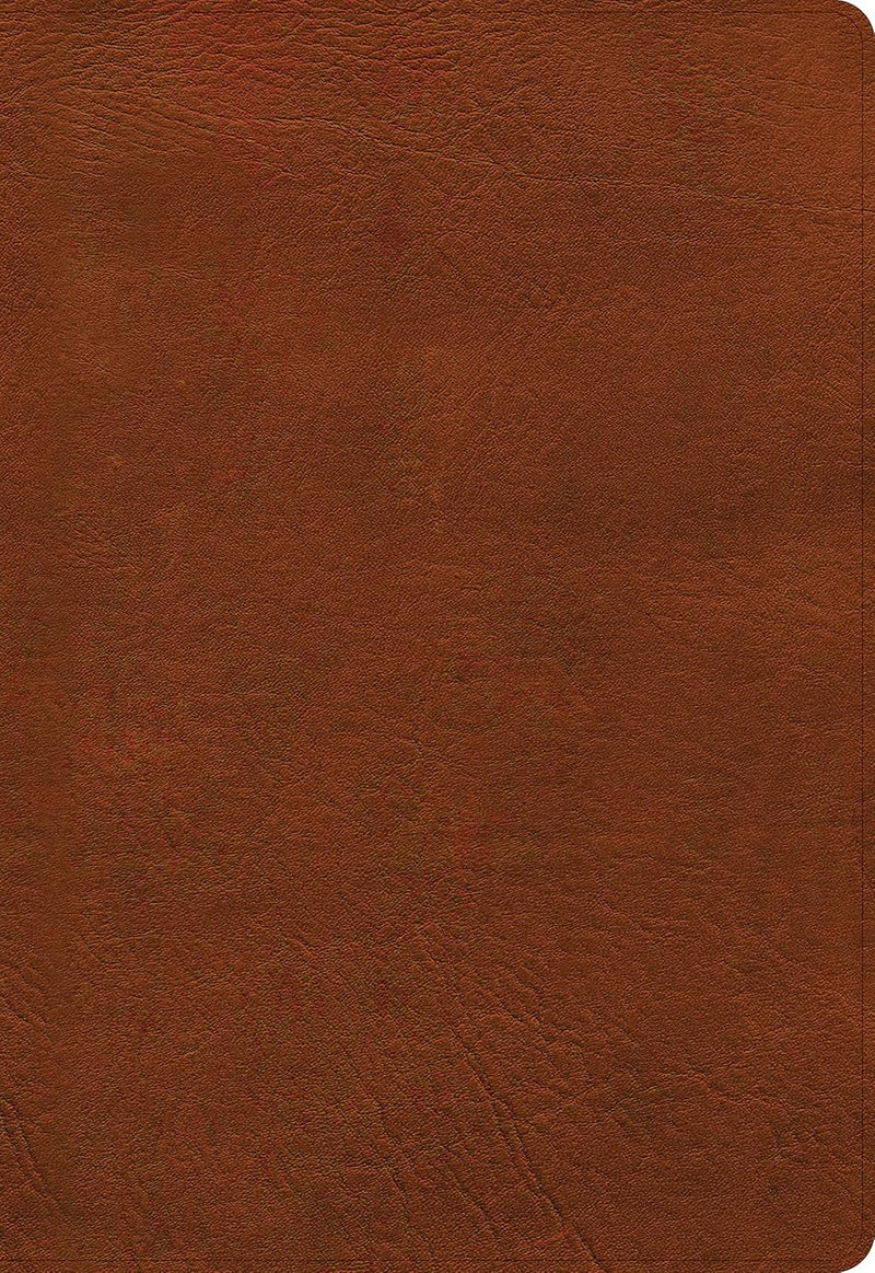 NASB Super Giant Print Reference Bible, Burnt Sienna Leather touch  by Holman Publishers