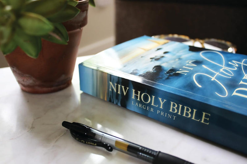 NIV Holy Bible – Larger Print Economy Edition by Zondervan