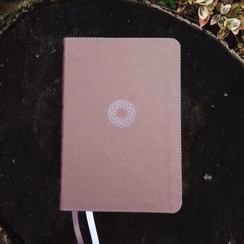 NIV Larger Print Compact Bible by Zondervan