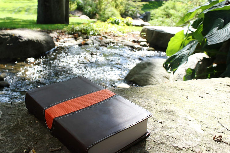 NIV Boys Bible by Zondervan