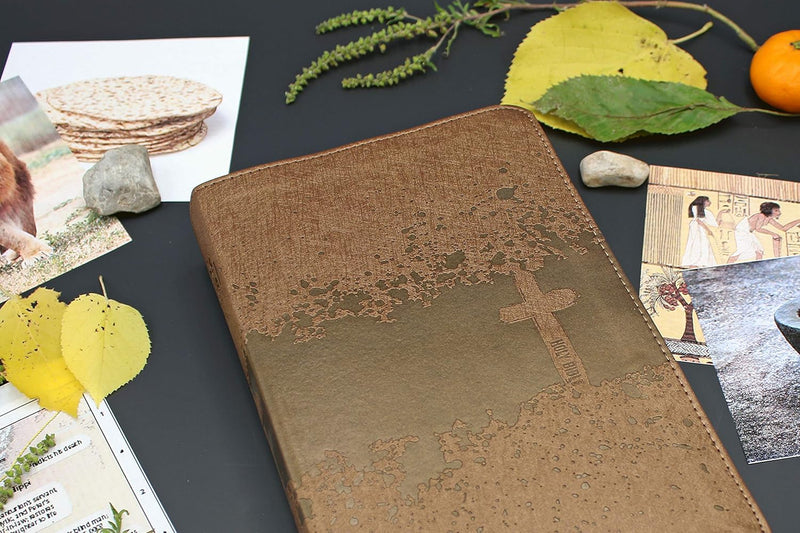 NIV Kids' Visual Study Bible by Zondervan