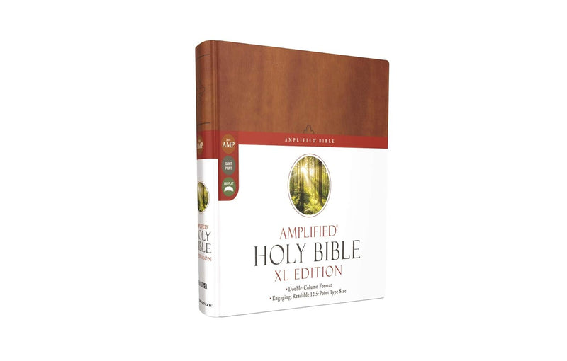 Amplified Holy Bible – XL Edition by Zondervan