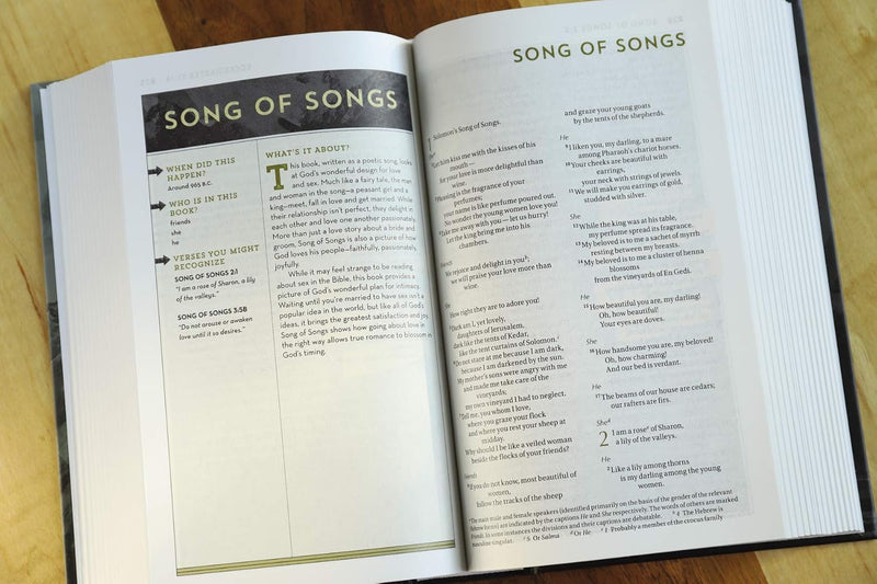 NIV Bible for Teen Guys by Zondervan Publishing House