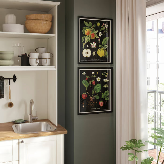 IKEA KNOPPÄNG Frame with poster, vintage botanical fruit charts, 40x50 cm (15 ¾x19 ¾ ")