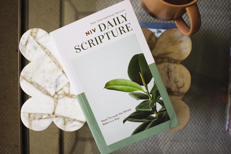 NIV Daily Scripture: Comfort Print – White/Sage by Zondervan