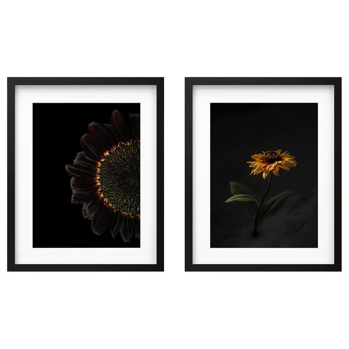 IKEA RODALM Frame with poster, sunflowers, 40x50 cm (15 ¾x19 ¾ ")