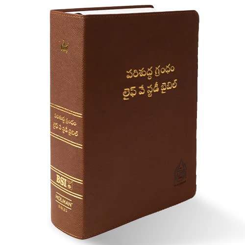 Lifeway Telugu Study Bible by LifeWay India Publishing Pvt Ltd