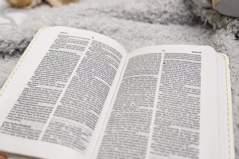 NIV Tiny Testament Bible – New Testament by Zondervan