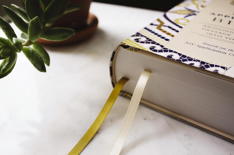 Heilige Bibel: Neue internationale Version, Mehrfarbig, Rote Buchstaben, Komfortdruck, Bringt die alte Botschaft der Bibel in Ihre Welt von Zondervan