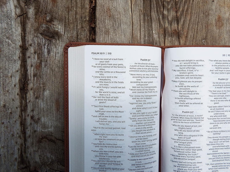 NIV Pocket Thinline Bible by Zondervan