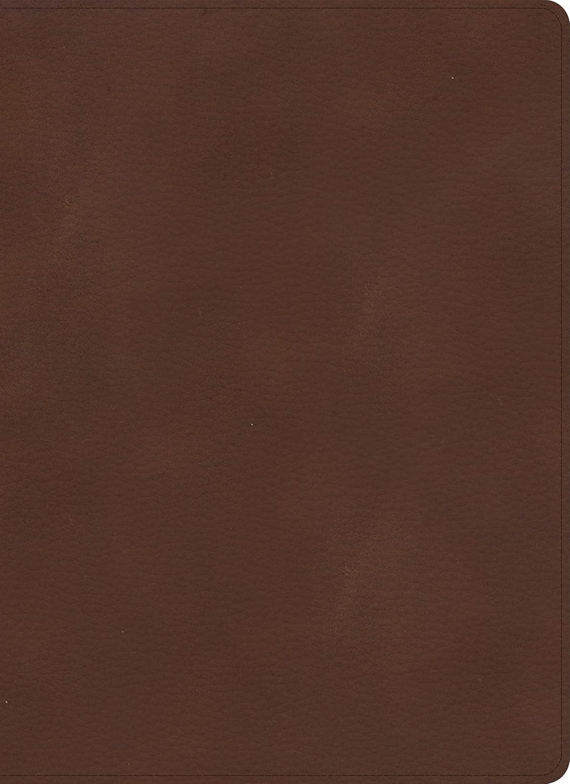 KJV Single-Column Wide-Margin Bible, Brown Leathertouch by olman Bible Publishers