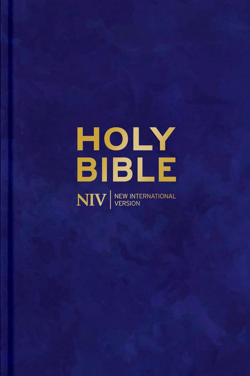 NIV Larger Print Personal Velvet Bible by New International Version
