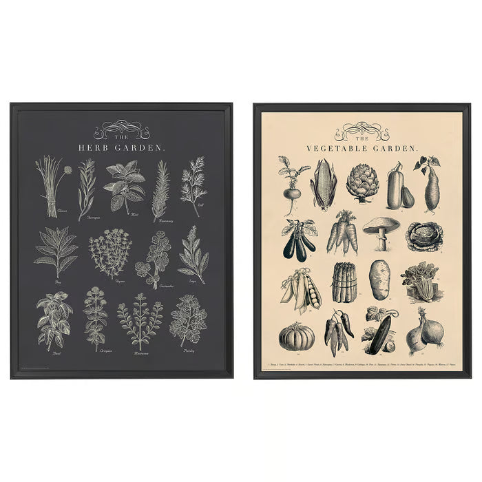 IKEA KNOPPÄNG Frame with poster, garden, 40x50 cm (15 ¾x19 ¾ ")