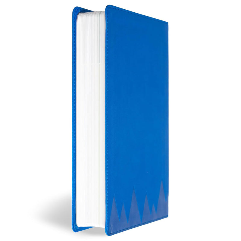 KJV Explorer Bible for Kids, Brown LeatherTouch: Placing God's Word in the Middle of God's World by Holman Bible Publishers