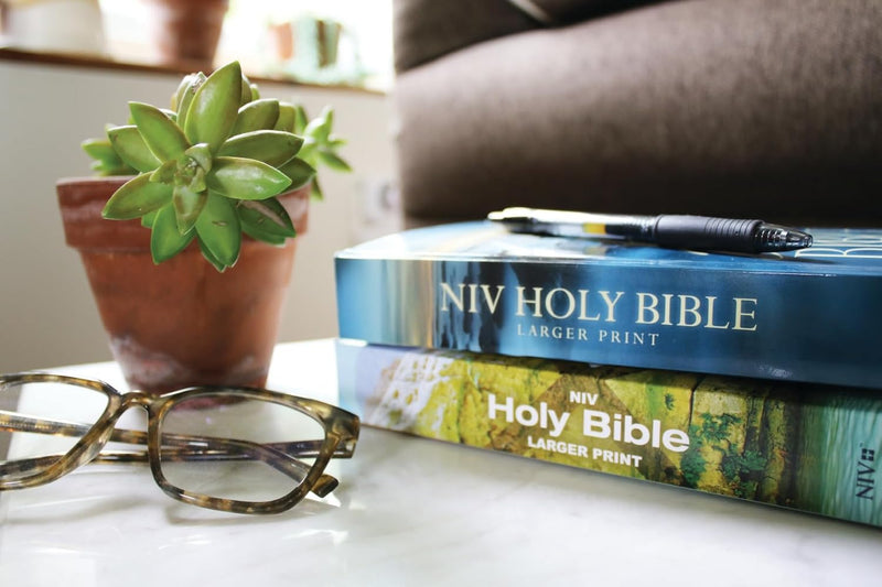 NIV Holy Bible – Larger Print Economy Edition by Zondervan