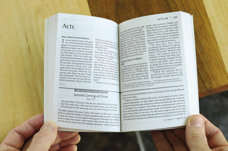 NIV Essentials of the Christian Faith, New Testament by Zondervan