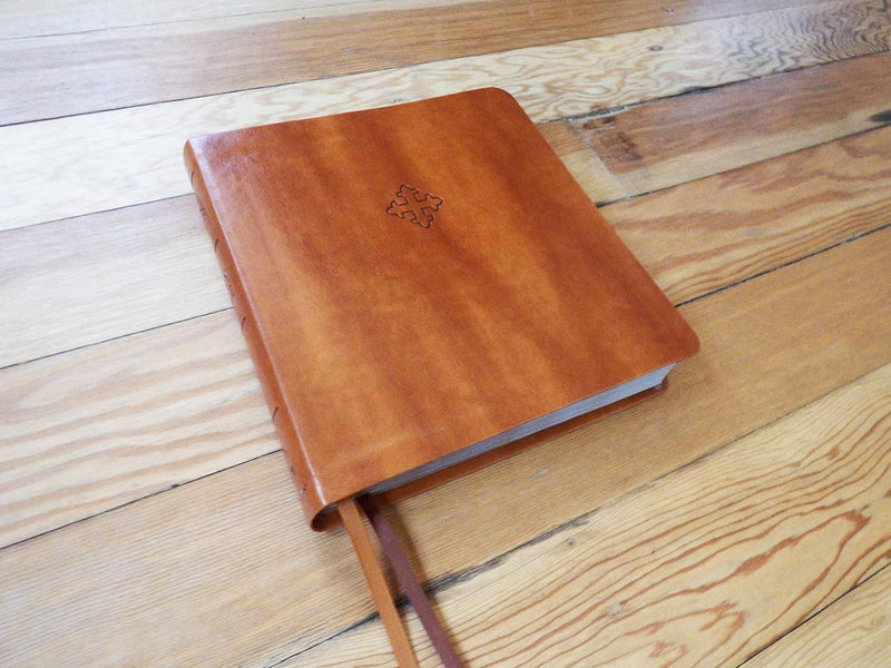 Amplified Holy Bible – XL Edition by Zondervan