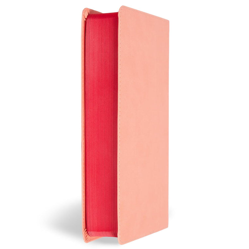 KJV Kinderbibel, Peach Leathertouch von Holman Bible Publishers