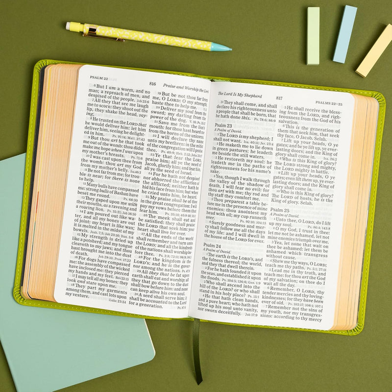 KJV-Kinderbibel, Green Leathertouch von Holman Bible Publishers