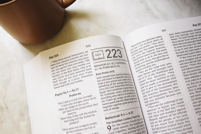 NIV Daily Scripture: Comfort Print – White/Sage by Zondervan