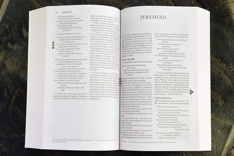 NIV Recovery Devotional Bible by Zondervan Publishing House