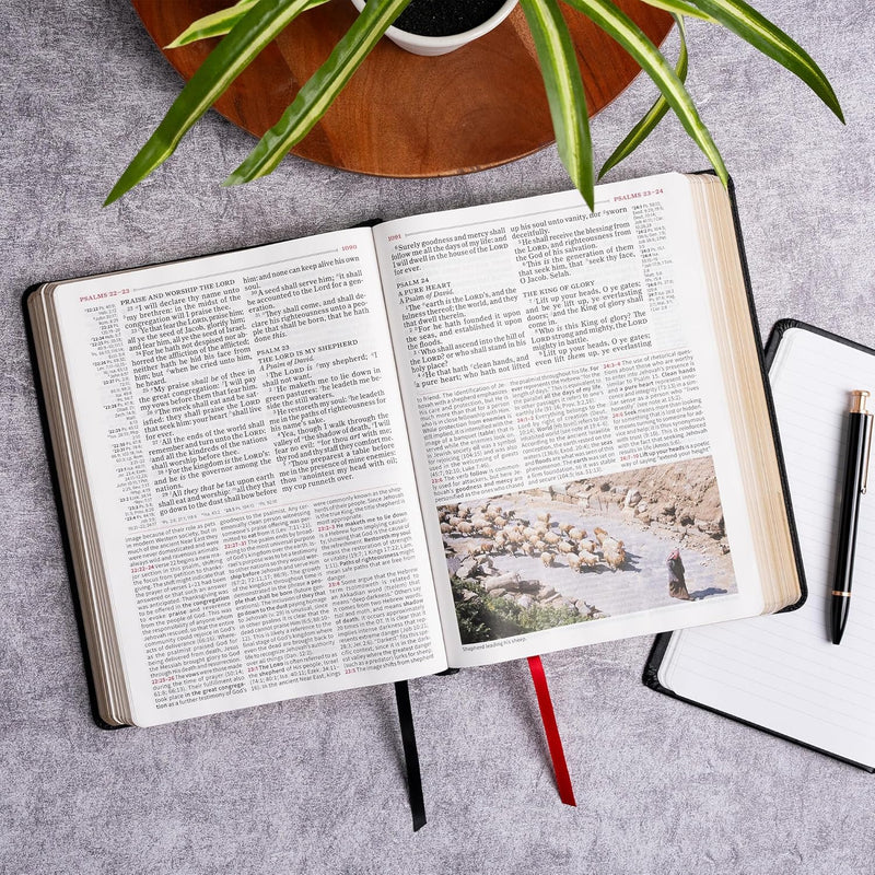 KJV Study Bible, Large Print Edition, Black Leathertouch Imitation Leather by Holman Bible Publishers