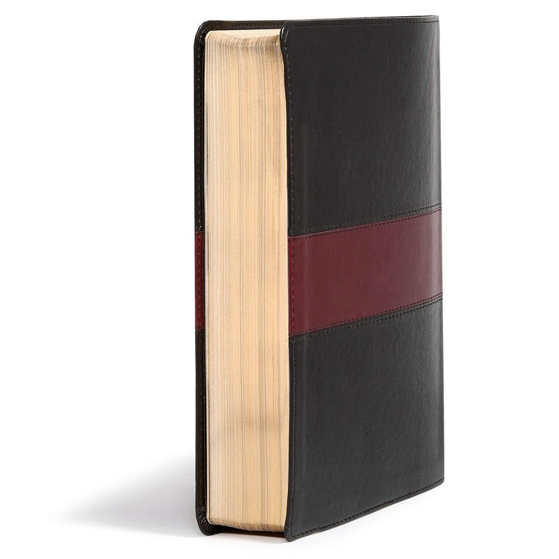 KJV Apologetics Study Bible, Black/Red Leather Touch by Holman Bible Publishers