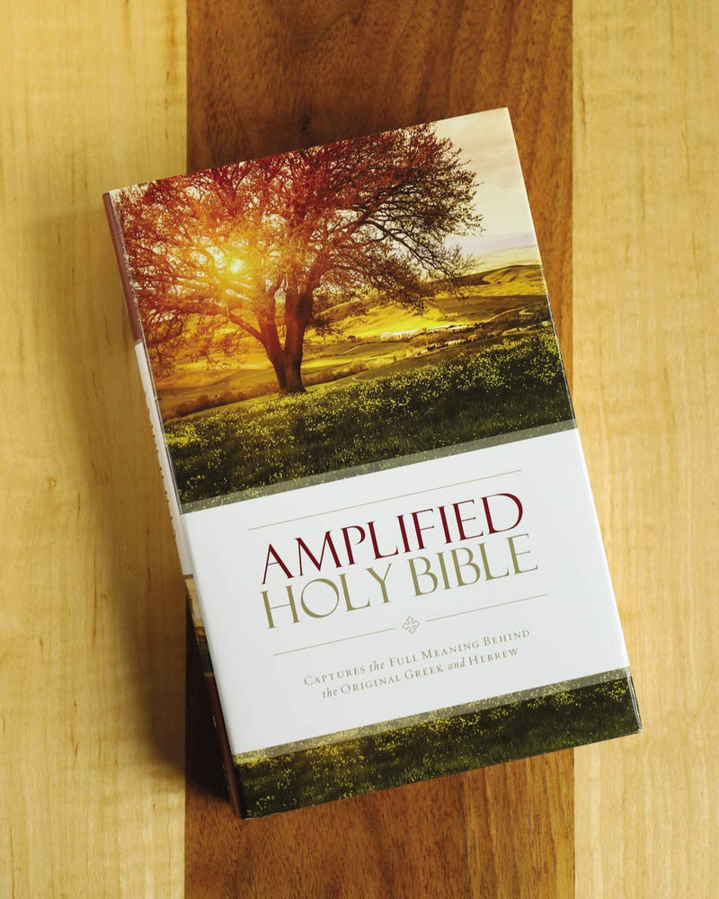 Amplified Holy Bible  by Zondervan