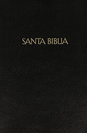 RVR 1960/KJV Bilingual Bible (Black Imitation Leatherby B&H Español Editorial Staff