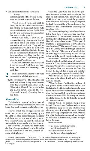 NIV Real-Life Devotional Bible for Women by Zondervan