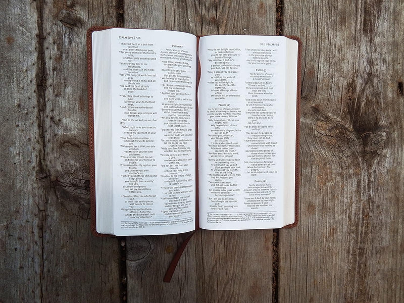 NIV Pocket Thinline Bible by Zondervan