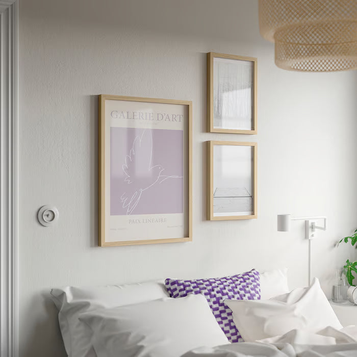 IKEA RÖDALM Frame with poster, Paix Lineaire, 50x70 cm (19 ¾x27 ½ ")