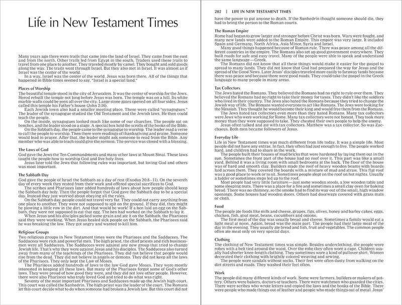 Holy Bible New Testament by Zondervan