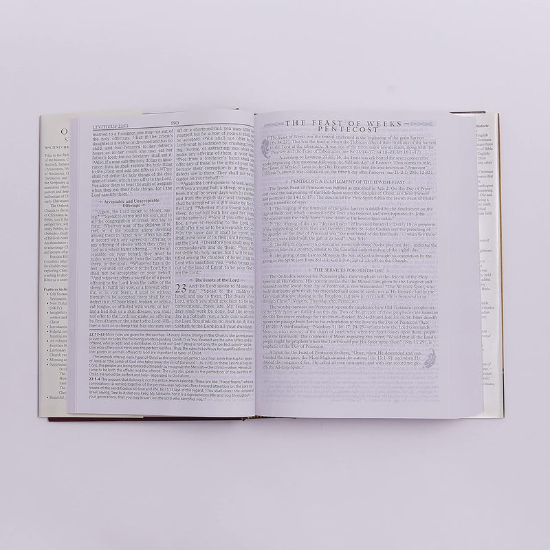 The Orthodox Study Bible: Ancient Christianity Speaks to Today's World  by Thomas Nelson